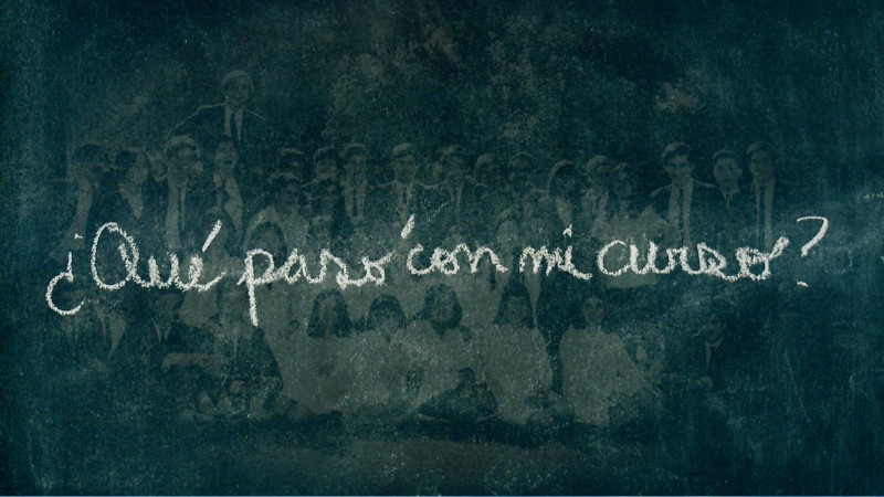 ¿Qué pasó con mi curso?