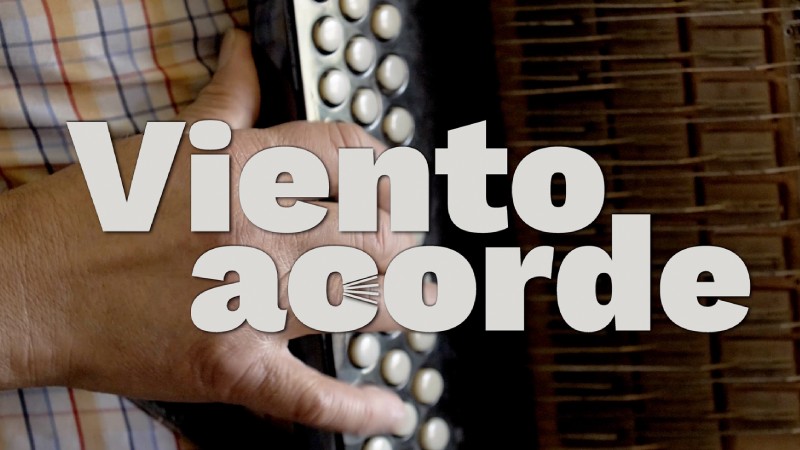 Viento Acorde