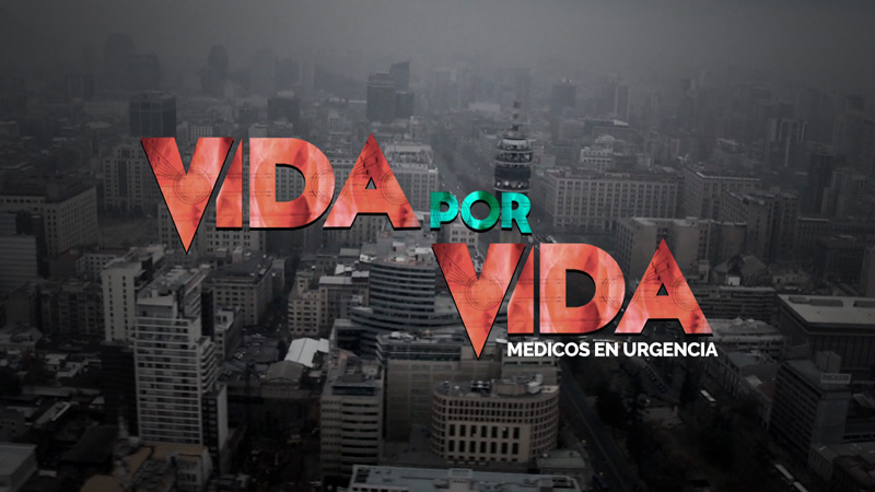Vida por Vida