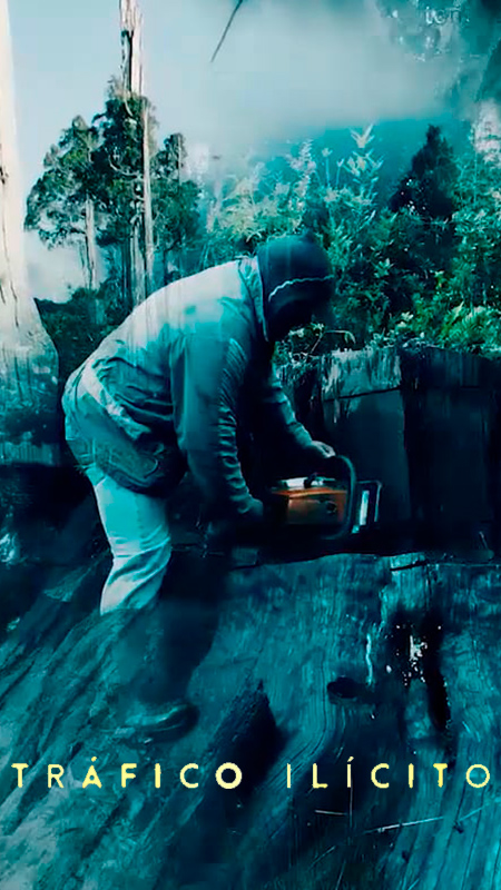 Tráfico Ilícito