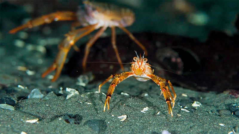 Más allá de las olas