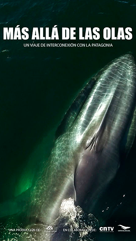 Más allá de las olas