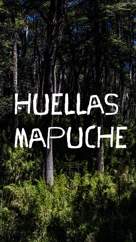 Huellas Mapuche