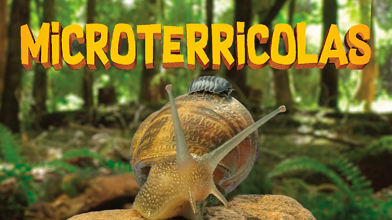 Microterrícolas